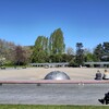 Needle Park in Seattle