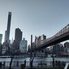 Roosevelt_Island