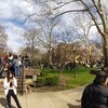 Eclipse viewing event at Pratt Library